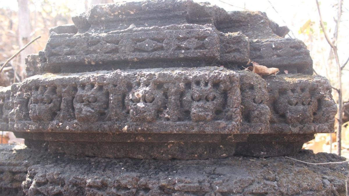 naidunia_image